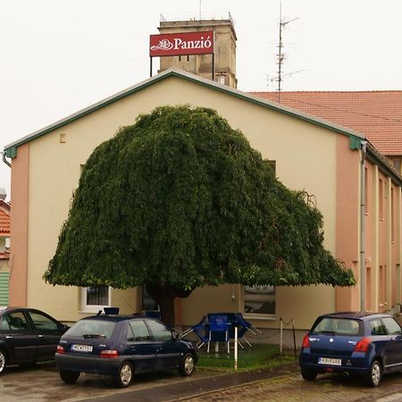 Malomudvar Étterem Cukrászda Panzió és Rendezvényház Gyongyos Exterior foto